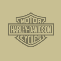 3D street paining for Harley Davidson