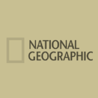 3D pavement art for National Geographic